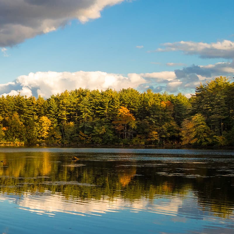 Stay aligned with sustainability initiatives