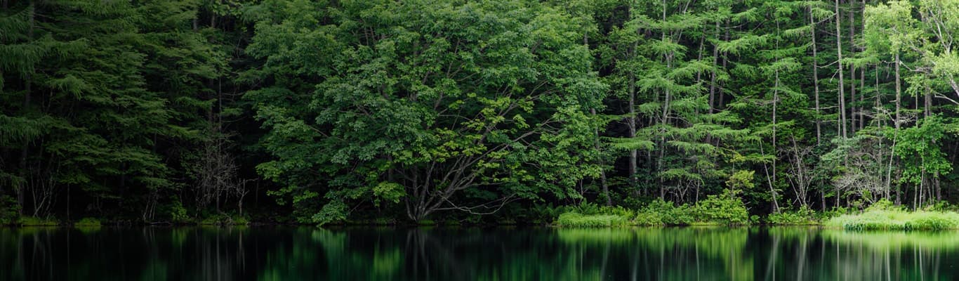 image?url=https%3A%2F%2Fimages.ctfassets.net%2Fj2jqn9lauv41%2F1csTfEcAqFtsk7RKZEQE0N%2F748408a5942b870bc09a594826e39cf8%2Fpbr eqp im 5000 9