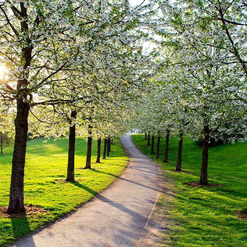 Supports sustainability and compliance goals