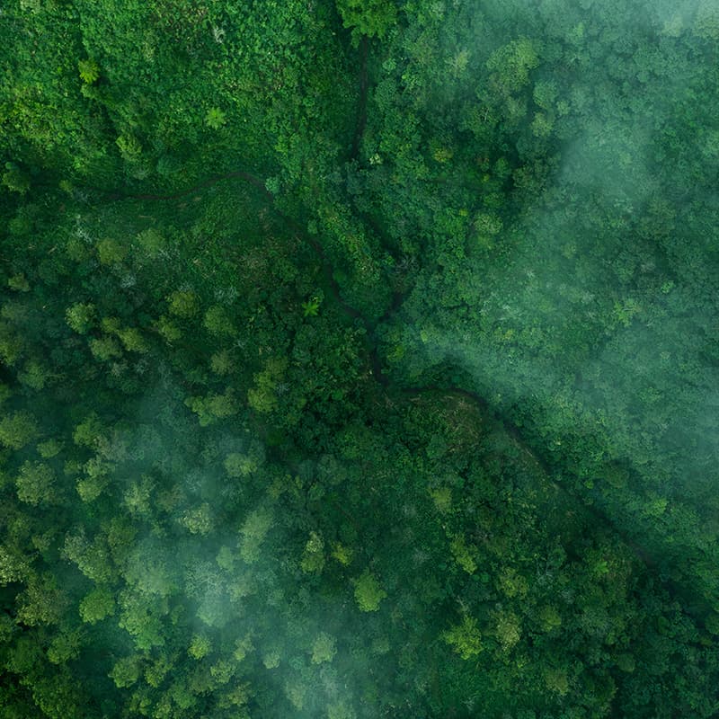 Government compliance and environmental regulations