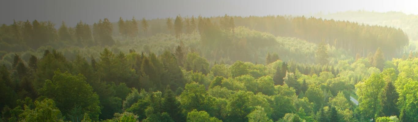 image?url=https%3A%2F%2Fimages.ctfassets.net%2Fj2jqn9lauv41%2F2KjMlWpQuNHMUARKTeeUcM%2F6e65b6ed86ffed681d3fb883e8636773%2Fpbr eqp im 4000 9