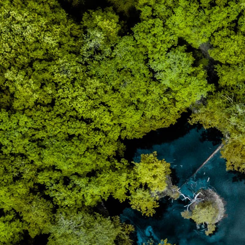 Embrace sustainability