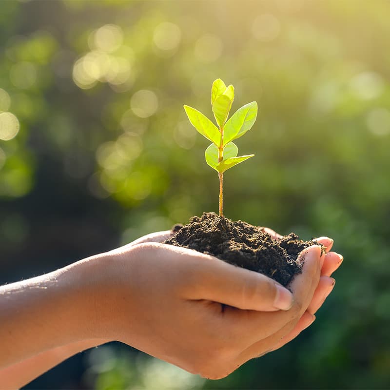 Ensuring government and environmental compliance