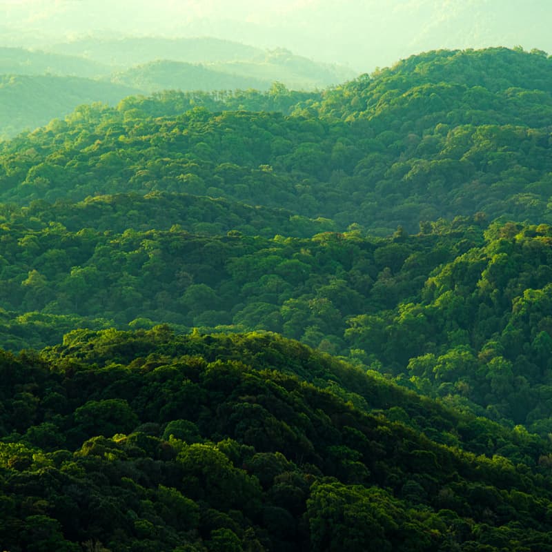 Supports sustainability practices and goals