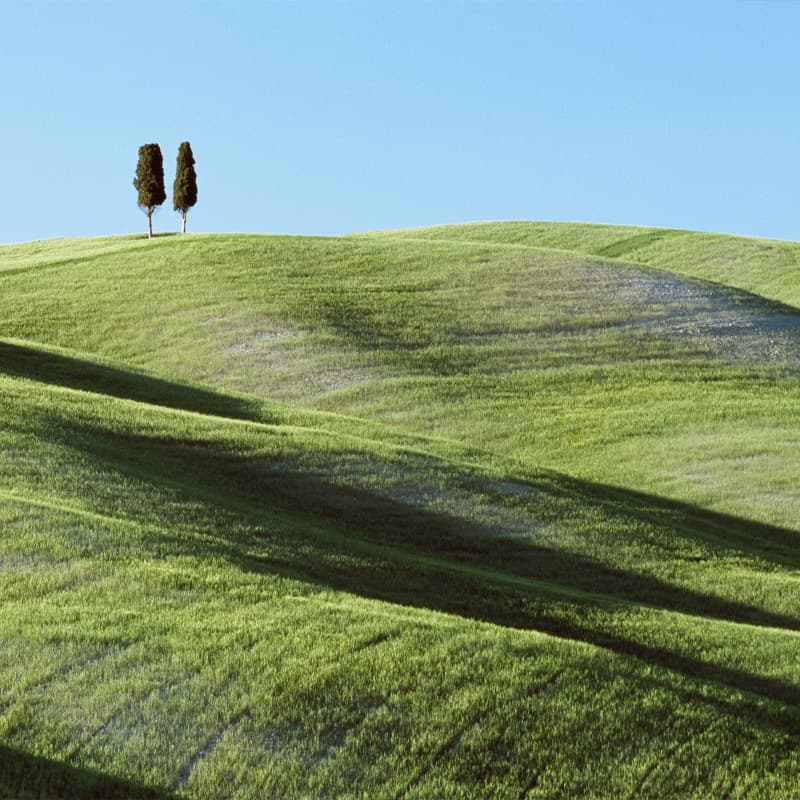 Compliance and environmental standards