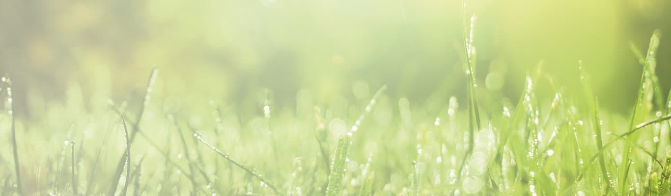 image?url=https%3A%2F%2Fimages.ctfassets.net%2Fj2jqn9lauv41%2F5ekfHoORT1b4CVnCkrf3iO%2Fd2c2b20a2c718bce9aab48004ee6bf04%2Fpbr eqp im 3500 9