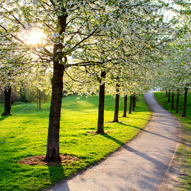 Meets environmental and sustainability goals