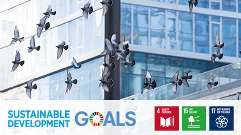 Flock of birds flying in front of building with sustainable goals stats