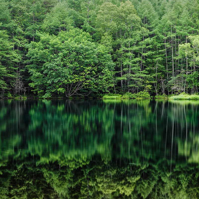 Contribute to a more sustainable office