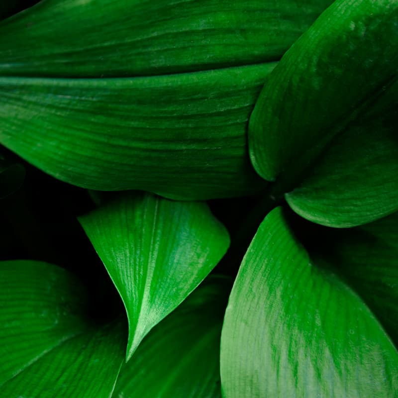 Environmentally conscious multifunction color printing