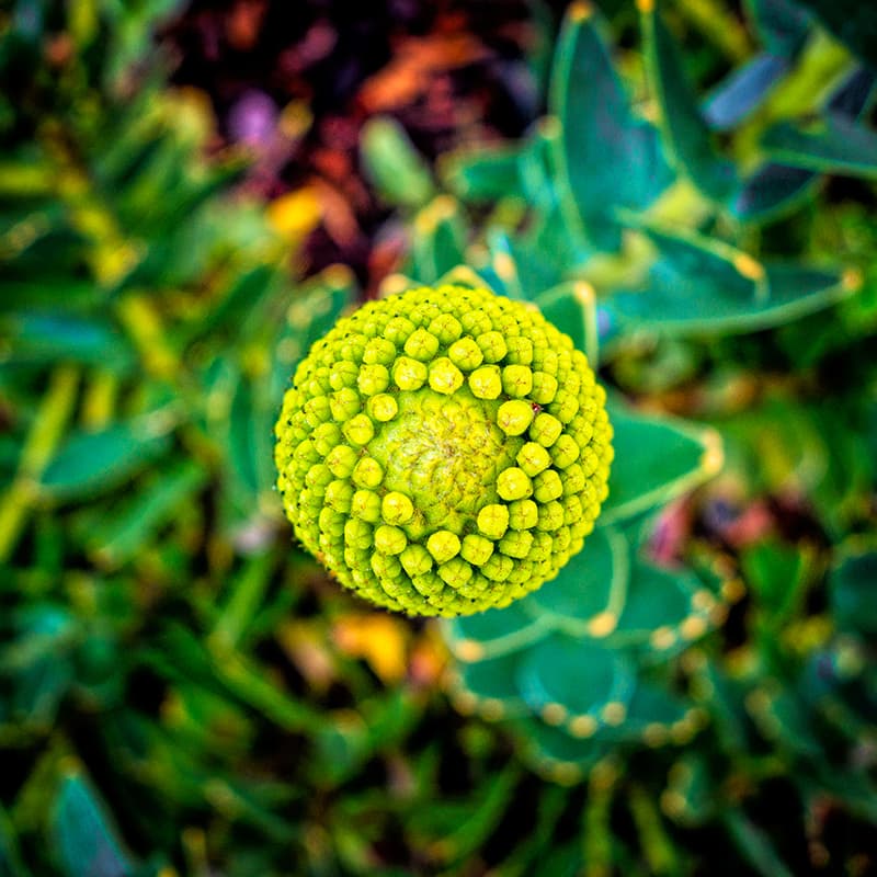 Environmentally responsible for a better tomorrow