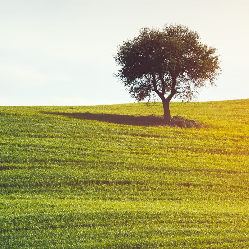 Easy on energy, and your budget