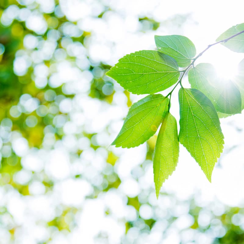 Consume less energy, conserve more cash