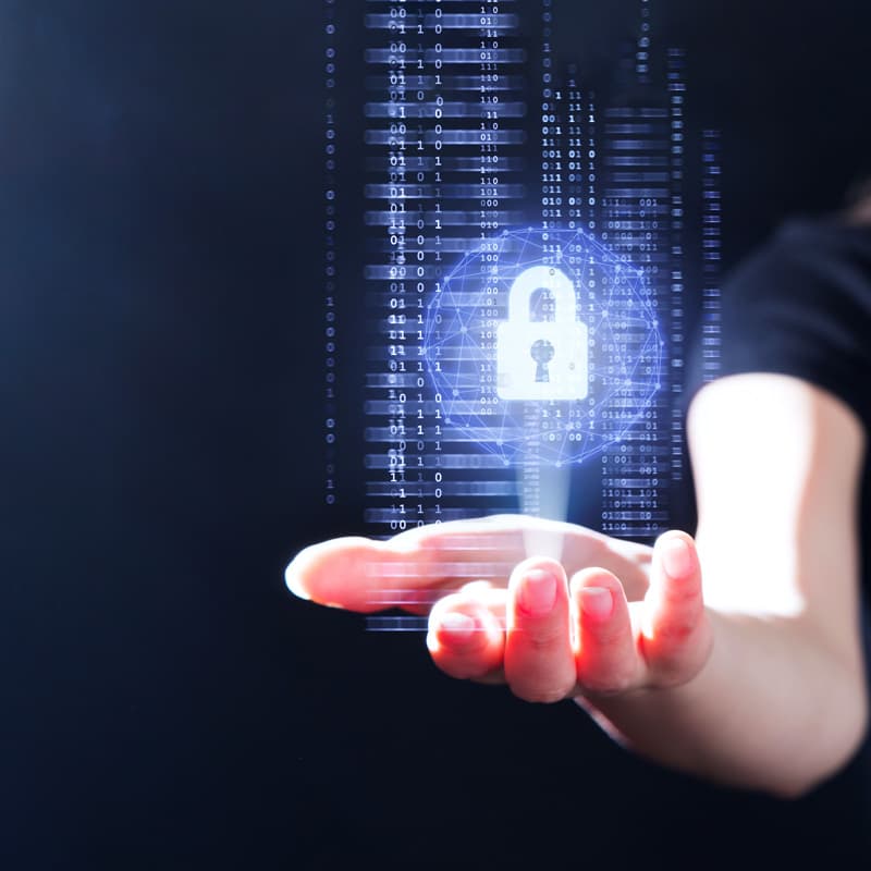 Find big-business security at home