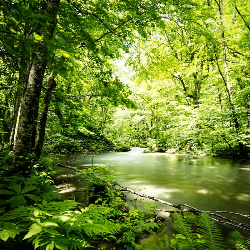 A sustainable choice for a better future