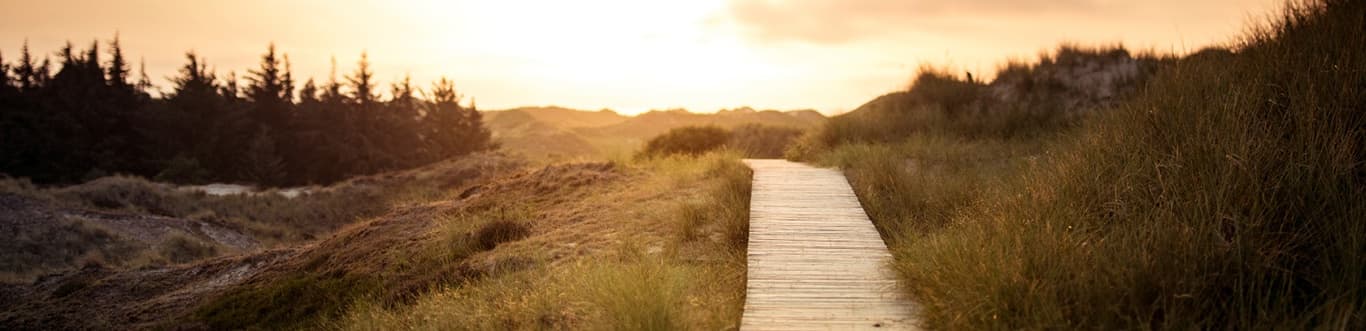Photo showing a path through a field during a sunset.