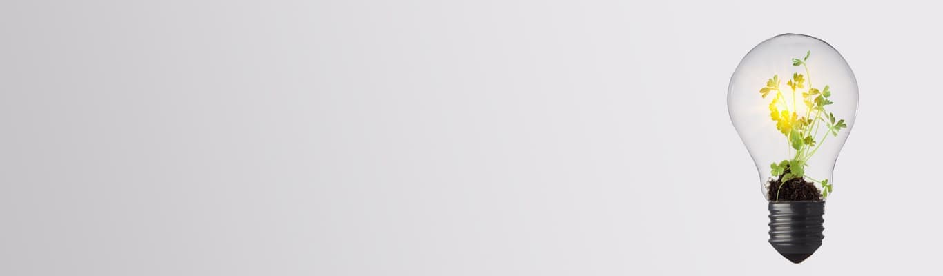 Prioritize the environment — and your budget