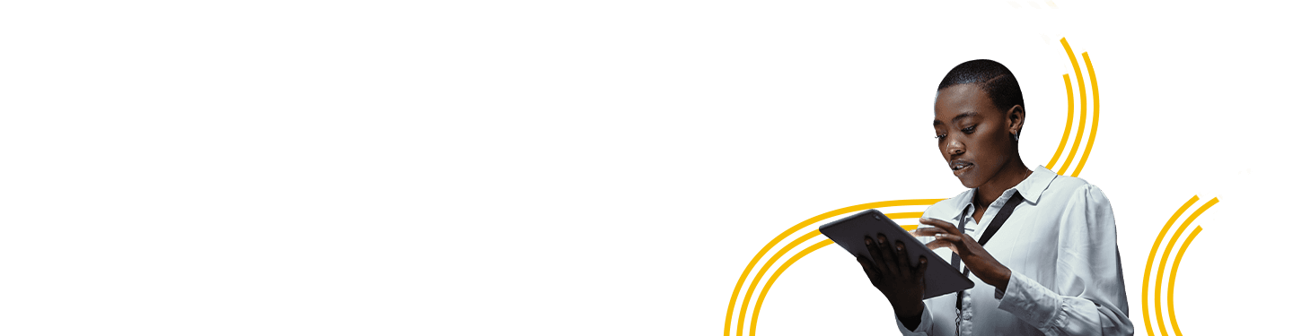 IT Project Services