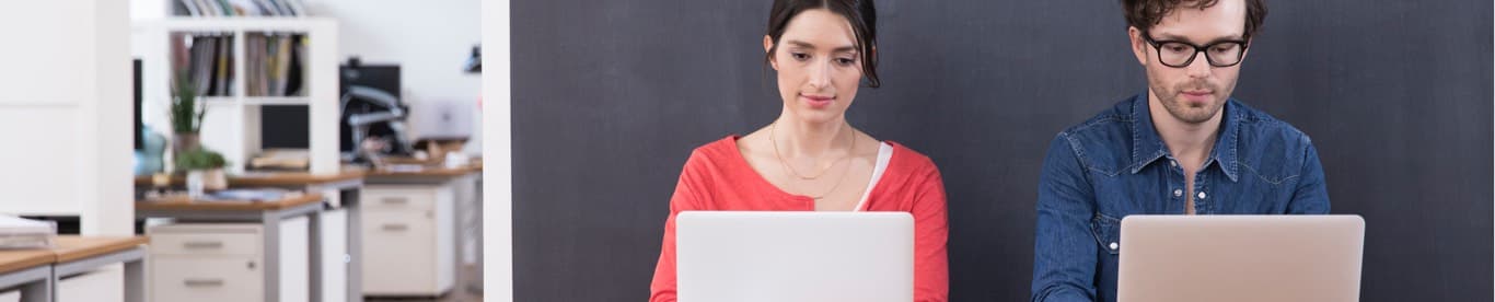 college administrators working at laptops